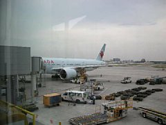 乗ってきた飛行機 乗ってきた飛行機